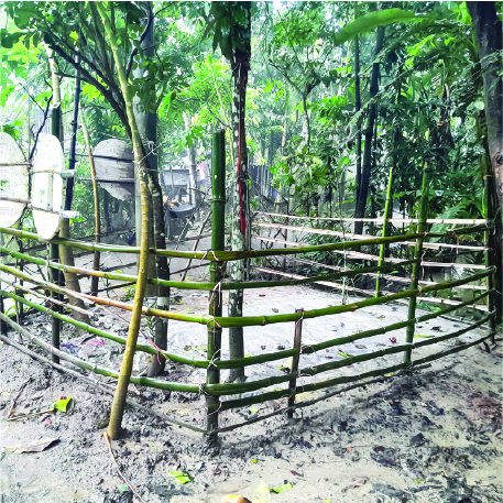 Image of মেহেদী হাসান